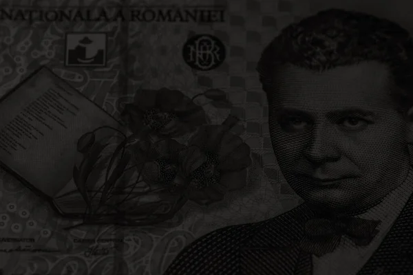 Румынские Деньги Lei Румынская Валюта Lei — стоковое фото