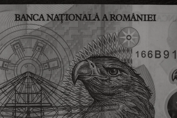 Румынские Деньги Lei Румынская Валюта Lei — стоковое фото