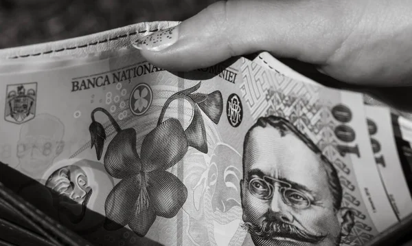 Rumänien Lei Geld Rumänische Lei Währung — Stockfoto
