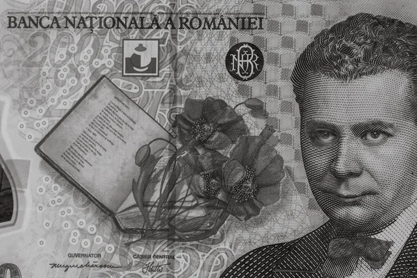 Romania Lei Bani Moneda Lei Românească — Fotografie, imagine de stoc