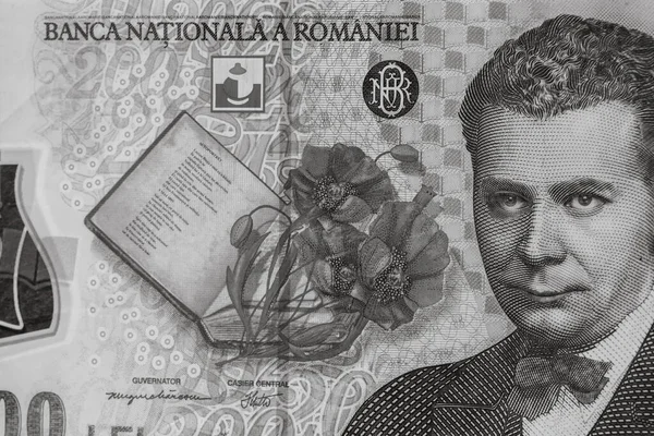 Roemenië Lei Geld Roemeense Lei Valuta — Stockfoto