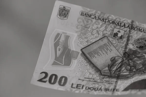Rumänien Lei Pengar Rumänsk Lei Valuta — Stockfoto