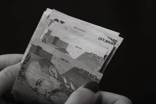 ルーマニアLeiお金 ルーマニア語のLei通貨 — ストック写真
