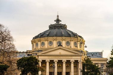 Bükreş 'in başkenti Romanya' nın başkenti Romen Athenaeum veya Athe Roman 'la ilgili ayrıntılı görüş