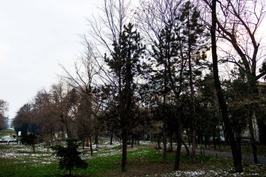 Bükreş 'teki Cismigiu parkında kış manzarası. Romanya 'nın Bükreş kentinde yer alan Cismigiu Gardens