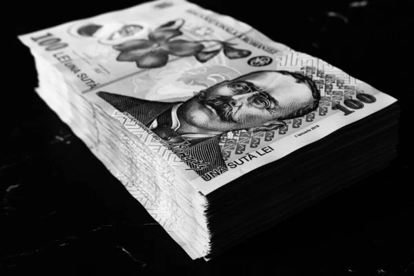 Стак Грошей Lei Румунських Грошей Гроші Європейська Валюта — стокове фото