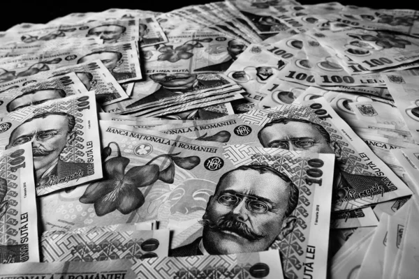Stack Lei Romanian Money Ron Leu Money European Currency — 图库照片