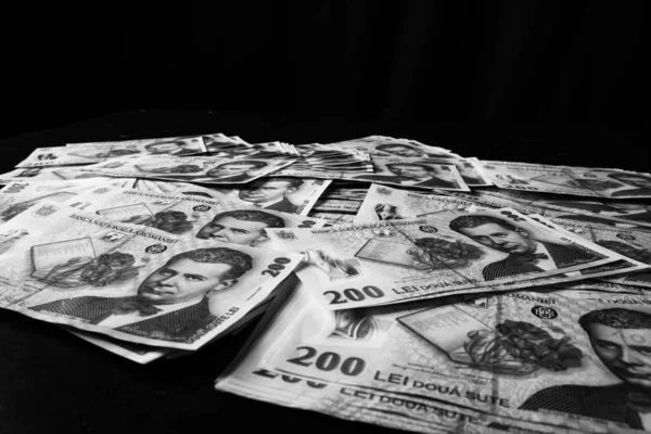Stack Lei Romanian Money Ron Leu Money European Currency — 图库照片