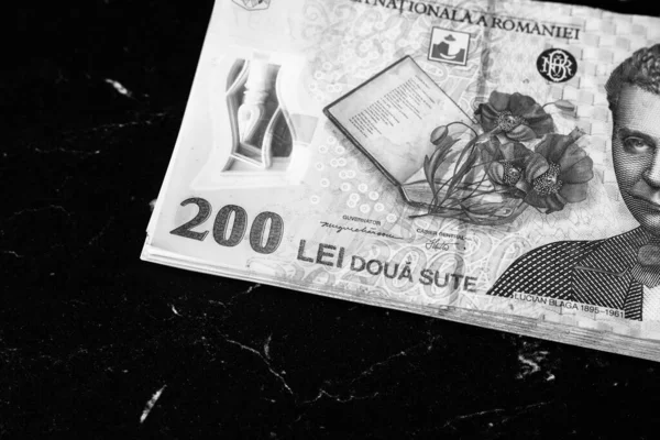 Stack Lei Romanian Money Ron Leu Money European Currency — Stockfoto