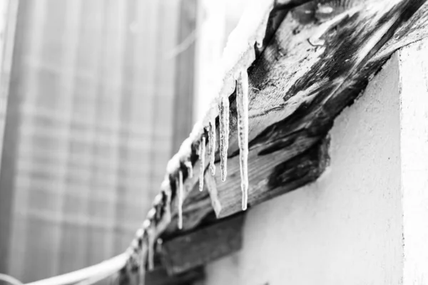 Крыша Покрыта Снегом Сосульки Крыше Изолированы Близко — стоковое фото
