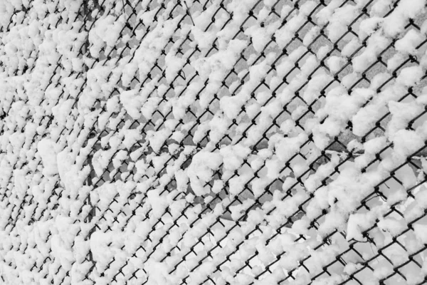 Cerca Arame Rede Metálica Com Neve Rede Metal Inverno Coberta — Fotografia de Stock