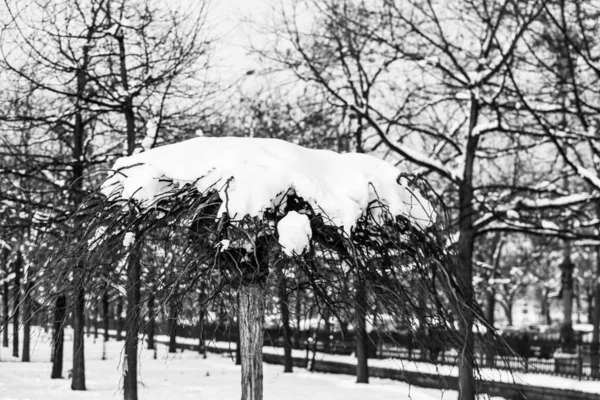 Perfekt Geformter Schnee Verschneite Umgebung Morgen Winterkonzept Gefrorener Und Schneebedeckter — Stockfoto