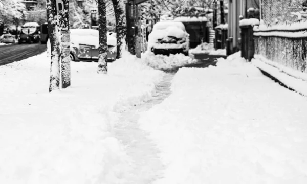 Weg Den Die Menschen Morgens Durch Den Schnee Gehen Pfad — Stockfoto