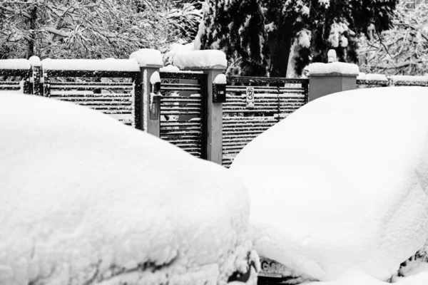 Autos Mit Schnee Vom Ersten Schneefall Des Jahres Bedeckt Winterkonzept — Stockfoto