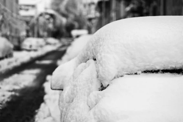 Yılın Ilk Kar Yağışından Beri Karla Kaplı Arabalar Kış Konsepti — Stok fotoğraf