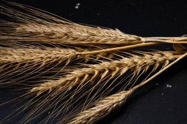 Buğday kulağı detayı. Mısır gevreği, un üretimi.