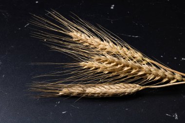 Buğday kulağı detayı. Mısır gevreği, un üretimi.