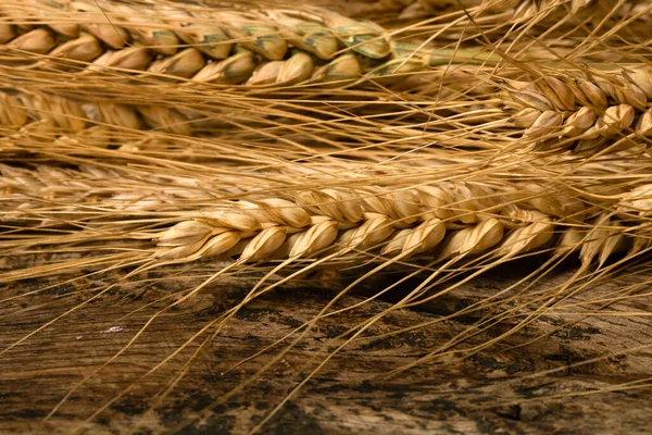 Wheat Ears Detail Cereals Backery Flour Production — Photo