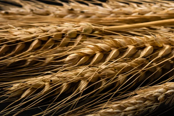 Wheat Ears Detail Cereals Backery Flour Production — ストック写真