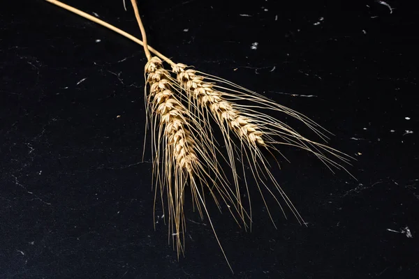 Wheat Ears Detail Cereals Backery Flour Production — Stockfoto
