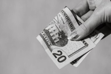 Amerikan doları para ve para fotoğrafı. Amerikan para birimi değişimi