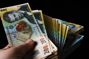 Bir yığın LEI Romanya parası. RON Leu Para Avrupa Para Birimi