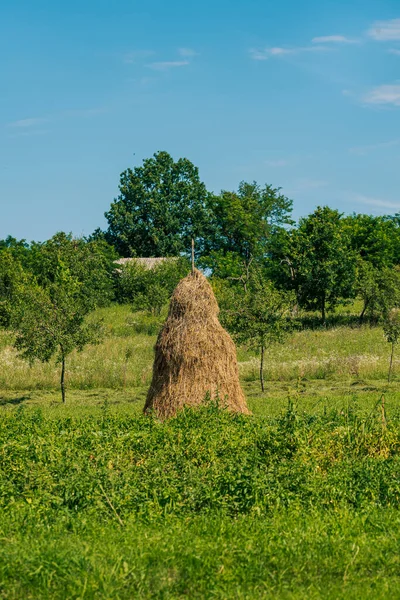 传统的东欧干草堆在田里 — 图库照片