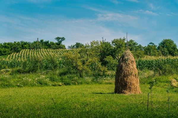 传统的东欧干草堆在田里 — 图库照片