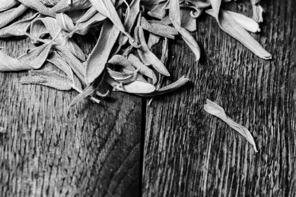 Feuilles Sèches Sauge Salvia Sur Une Planche Bois — Photo