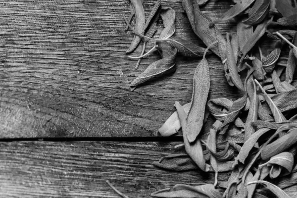 Feuilles Sèches Sauge Salvia Sur Une Planche Bois — Photo