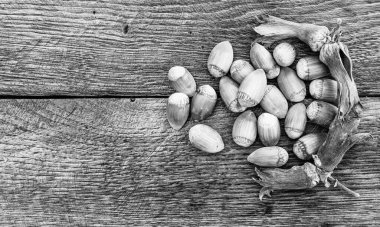 Tahtada kırmızı fındık. Ayrı fındıklar..