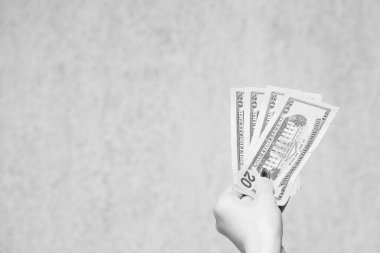 Amerikan doları. Birleşik Devletler Doları. ABD parası, enflasyon ve Amerikan doları