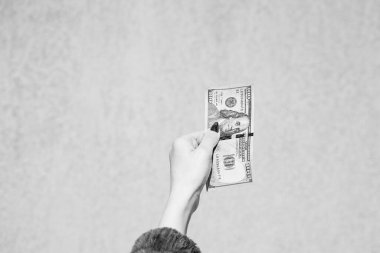 Amerikan doları. Birleşik Devletler Doları. ABD parası, enflasyon ve Amerikan doları