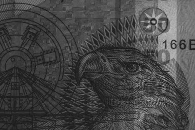 LEI para birimleri. LEI Romen parası. RON Leu Para Avrupa Para Birimi