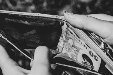 LEI para birimleri. LEI Romen parası. RON Leu Para Avrupa Para Birimi