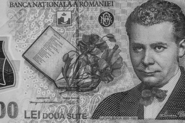 LEI para birimleri. LEI Romen parası. RON Leu Para Avrupa Para Birimi