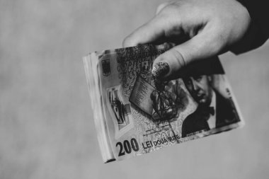LEI currency banknotes. LEI Romanian money. RON Leu Money European Currency