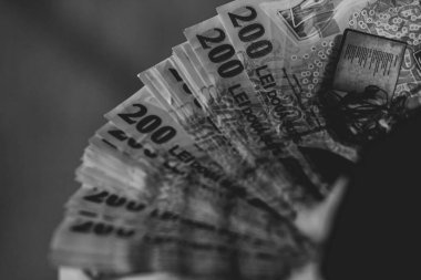 LEI para birimleri. LEI Romen parası. RON Leu Para Avrupa Para Birimi