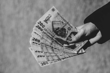 LEI para birimleri. LEI Romen parası. RON Leu Para Avrupa Para Birimi
