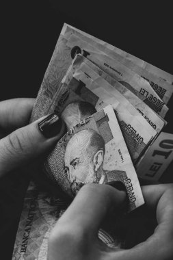 LEI para birimleri. LEI Romen parası. RON Leu Para Avrupa Para Birimi