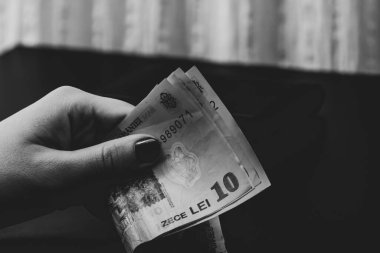 LEI para birimleri. LEI Romen parası. RON Leu Para Avrupa Para Birimi