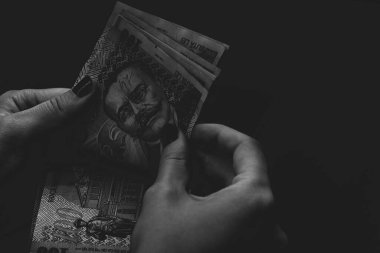 LEI currency banknotes. LEI Romanian money. RON Leu Money European Currency