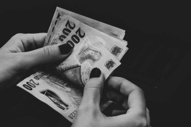 LEI para birimleri. LEI Romen parası. RON Leu Para Avrupa Para Birimi