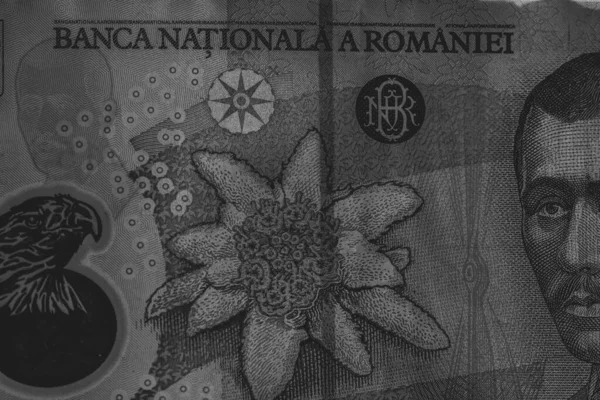 Lei Currency Banknotes Lei Romanian Money Ron Leu Money European — Fotografia de Stock