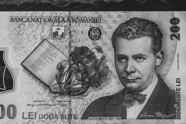Lei Currency Banknotes Lei Romanian Money Ron Leu Money European — Zdjęcie stockowe