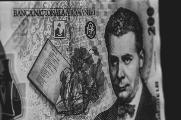 Lei Currency Banknotes Lei Romanian Money Ron Leu Money European — Photo