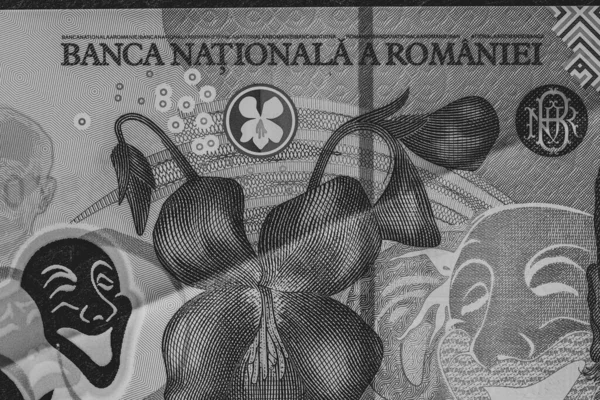 Lei Currency Banknotes Lei Romanian Money Ron Leu Money European — Photo