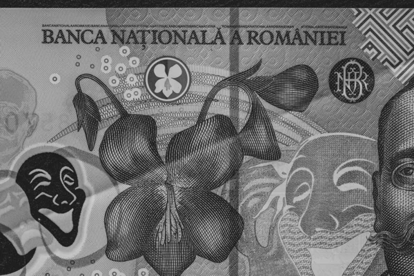 Lei Currency Banknotes Lei Romanian Money Ron Leu Money European — Fotografia de Stock