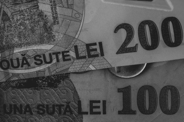 Lei Currency Banknotes Lei Romanian Money Ron Leu Money European — Stock fotografie