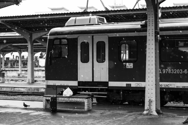 Train Gare Bucarest Nord Gara Nord Bucarest Roumanie 2022 — Photo
